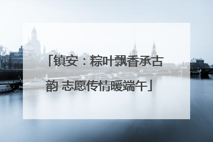 镇安：粽叶飘香承古韵 志愿传情暖端午